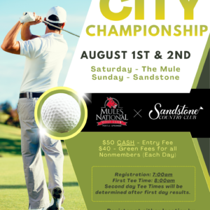 City Championship Golf Flyer for Sandstone Country Club